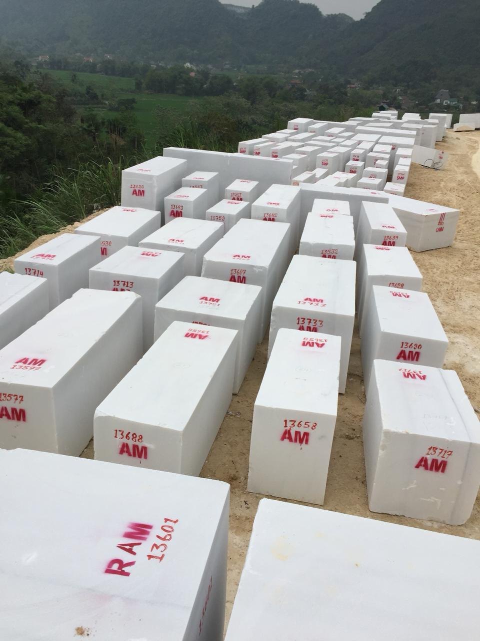 Vietnam White Marble